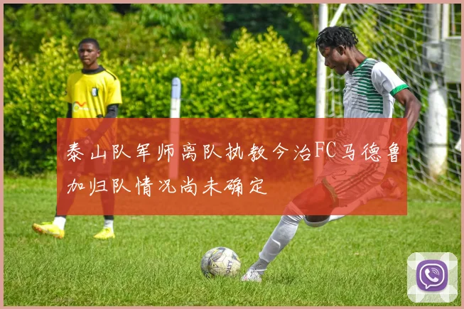 泰山队军师离队执教今治FC马德鲁加归队情况尚未确定