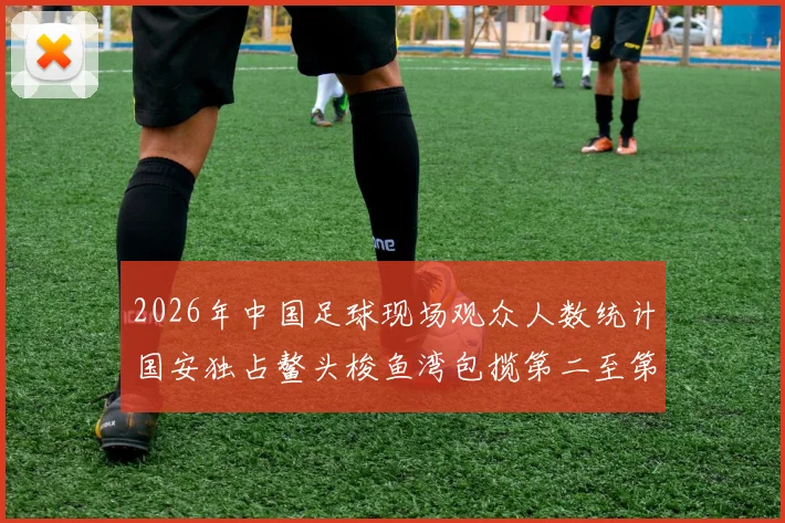 2026年中国足球现场观众人数统计国安独占鳌头梭鱼湾包揽第二至第七位